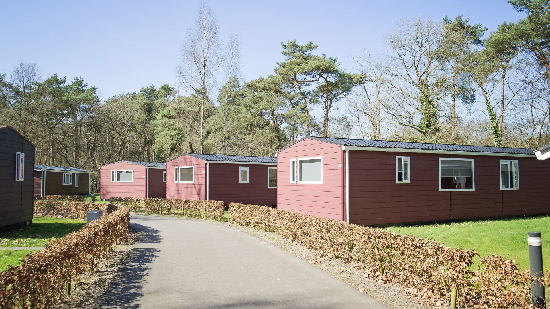 chalets park Wezep