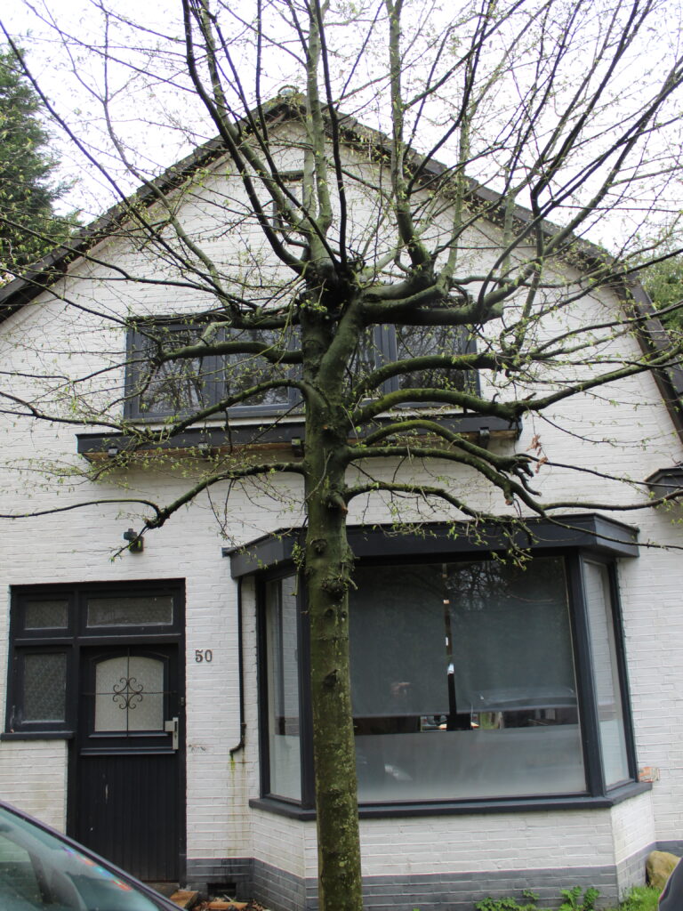 Buitenzijde woning Rhenen